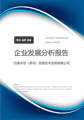 億德豐信（香河）信息技術咨詢企業發展分析報告