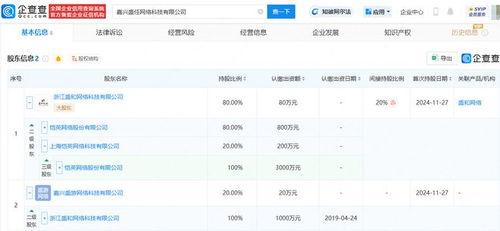 愷英網絡嘉興布局 投資成立網絡科技公司，拓展信息技術咨詢服務新賽道